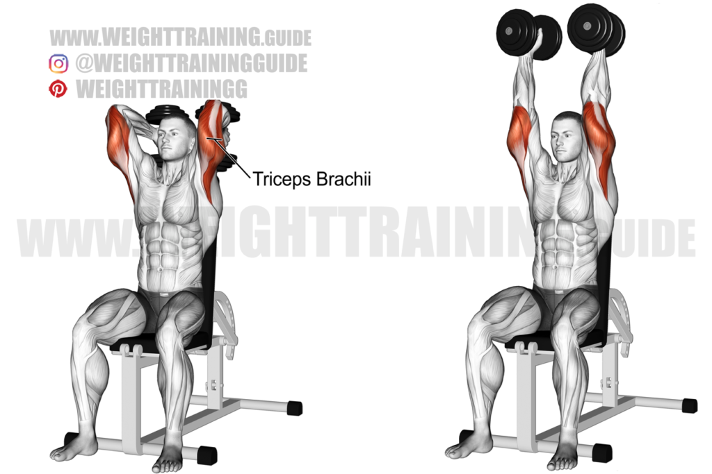 Triceps Workouts with Dumbbells overhead extension each arm