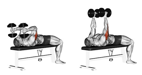 Triceps Workouts with Dumbbells skull crushers