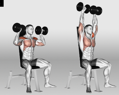 Shoulder press guide for dumbell shoulder exercises