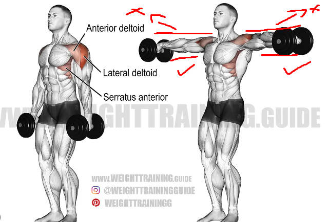Dumbbell lateral raises guide for dumbbell shoulder exercises