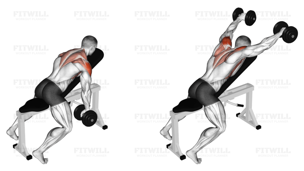 Rear Delt dumbbell exercise guide for dumbbell shoulder exercises