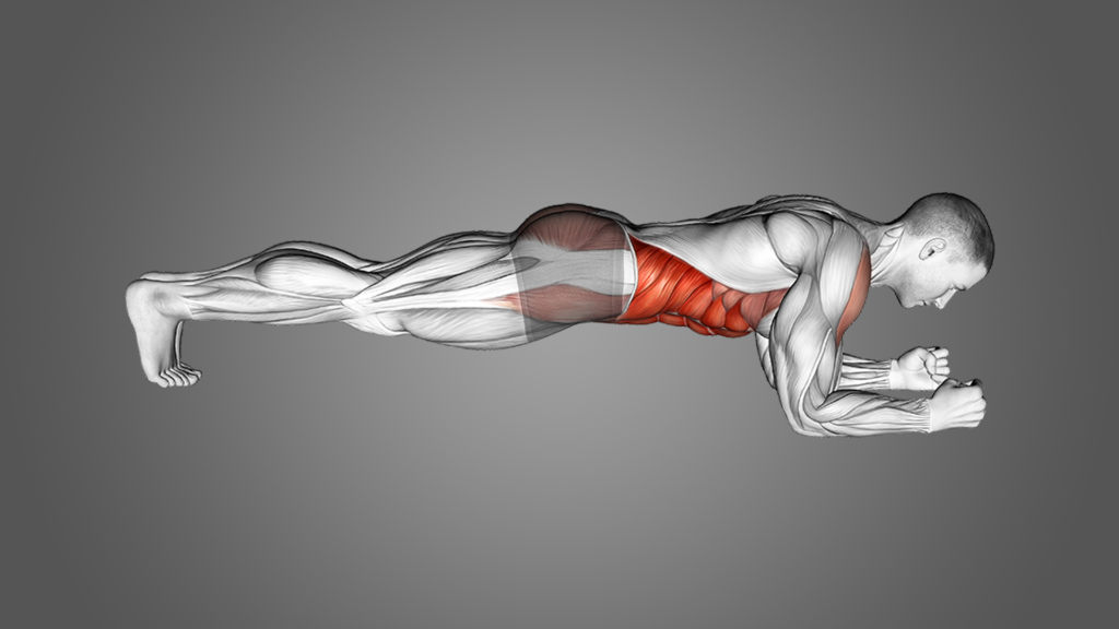 Plank for home workouts for flat stomach
